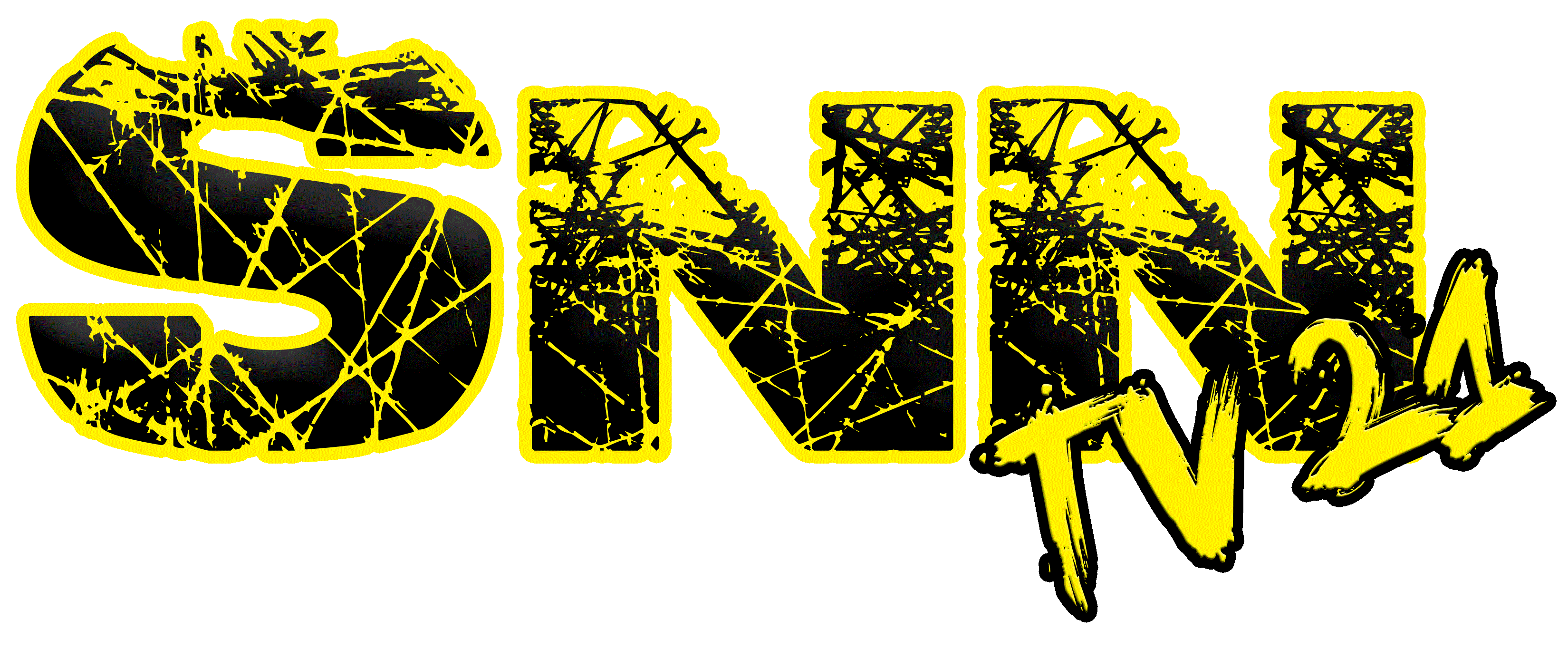 SNN Logo