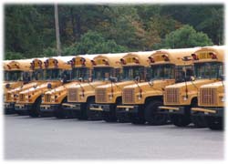 Southern Regional School Buses